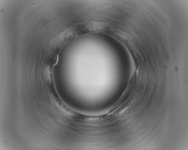 X0000088440575200705221315