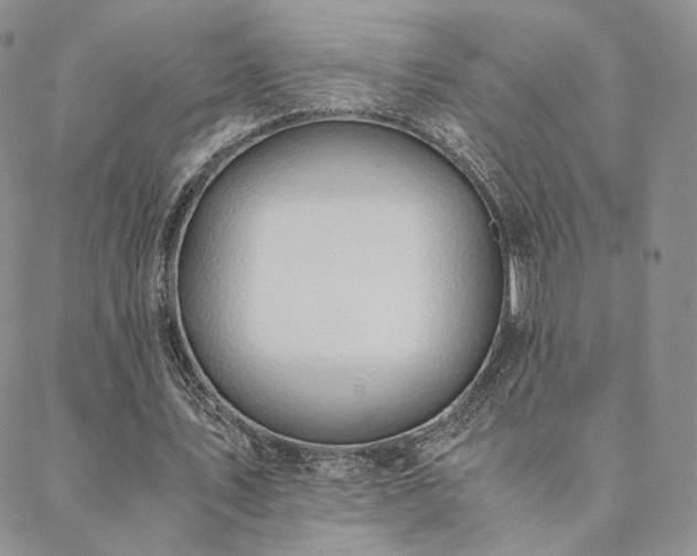 X0000088440579200705221315