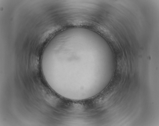 X0000088440592200705221314