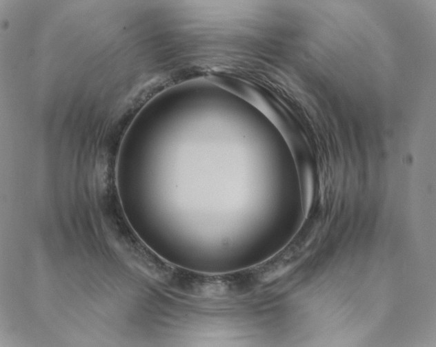 X0000088440600200705221314