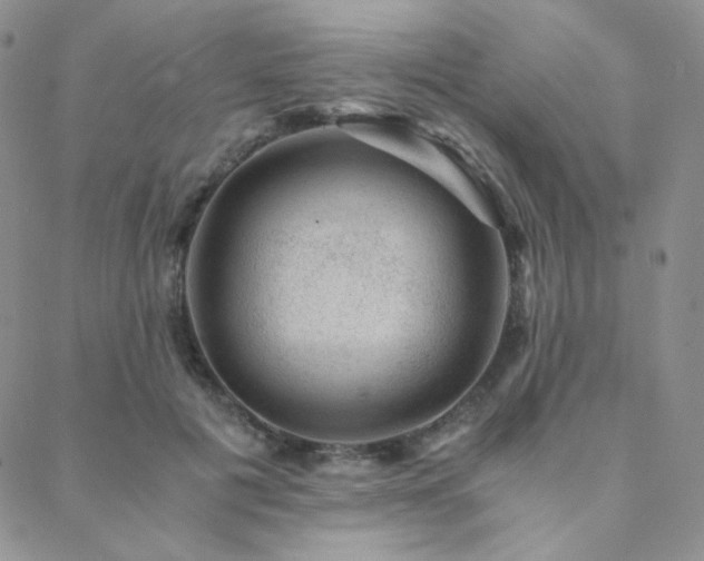 X0000088440601200705221314