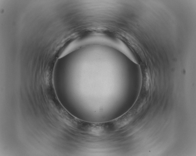 X0000088440604200705221314