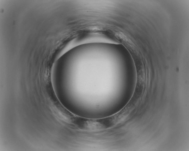 X0000088440605200705221314