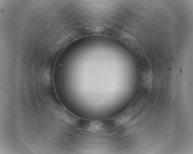 X0000088440612200705221314