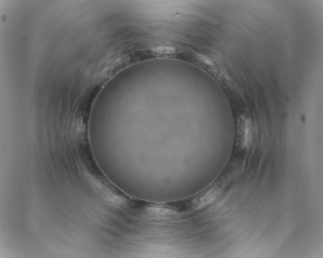 X0000088440614200705221314