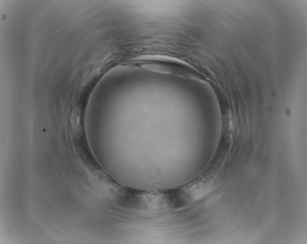 X0000088440615200705221314