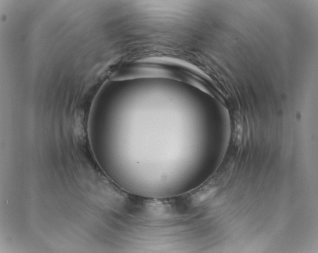 X0000088440616200705221314