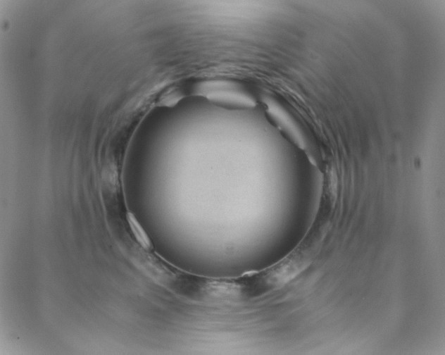 X0000088440617200705221314