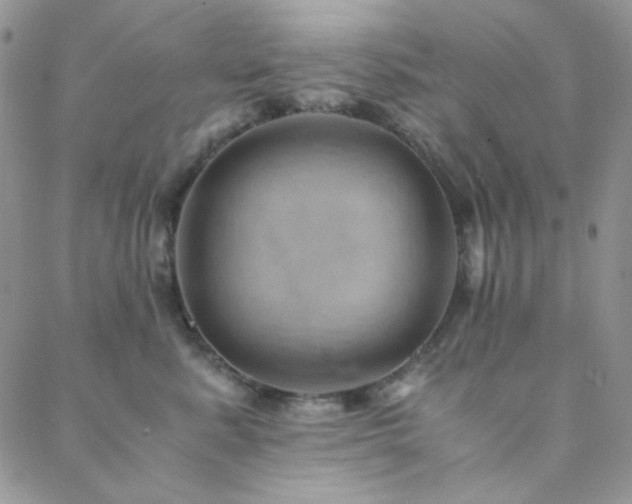 X0000088440619200705221314