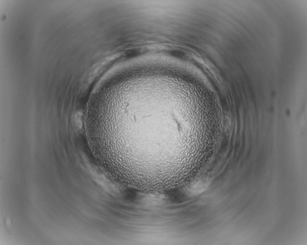 X0000088440621200705221314