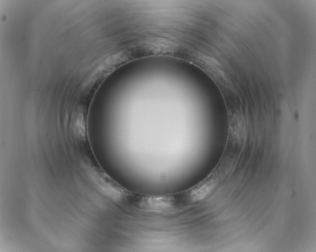 X0000088440622200705221314