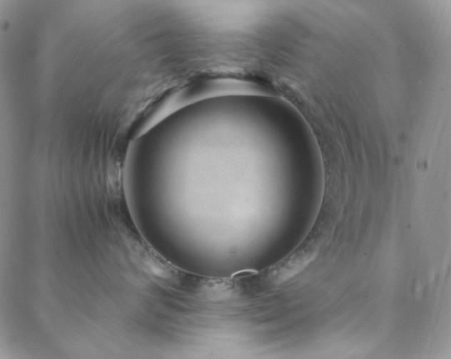 X0000088440624200705221314