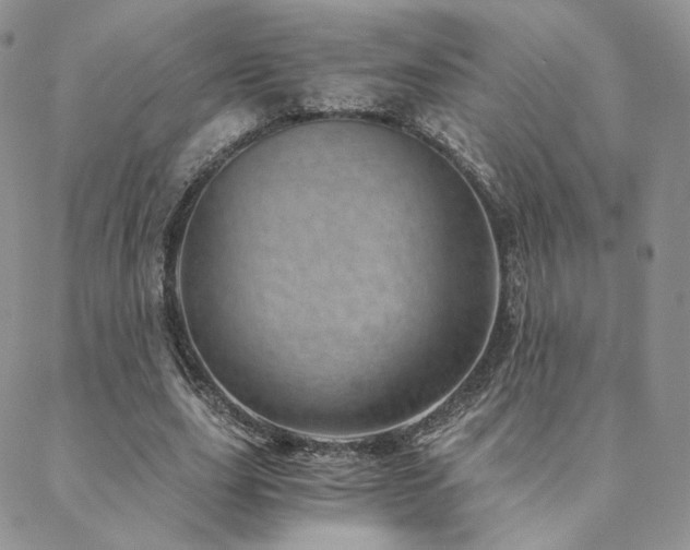 X0000088440631200705221313