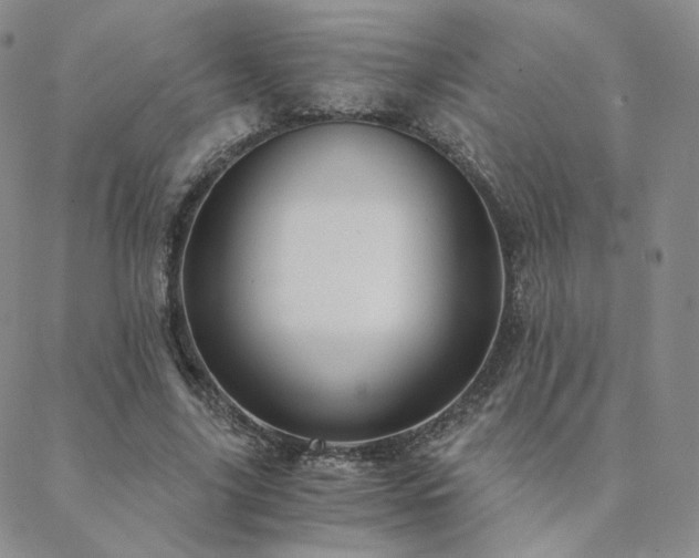 X0000088440635200705221313