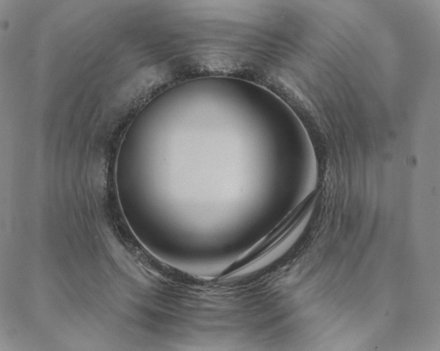 X0000088440639200705221313
