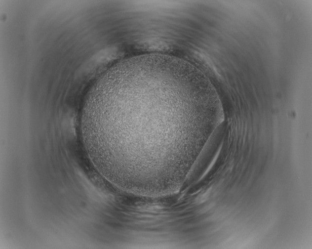 X0000088440643200705221313