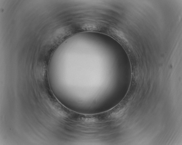 X0000088440645200705221313