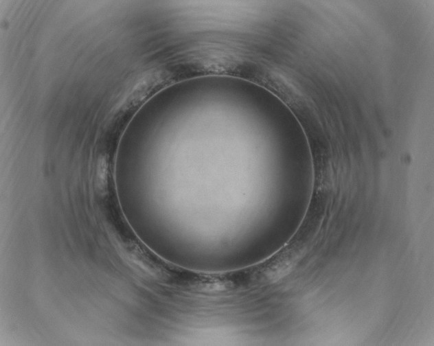 X0000088440646200705221313