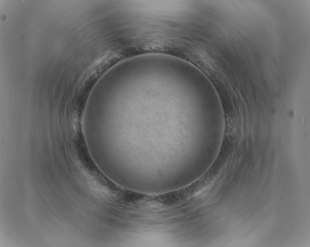 X0000088440648200705221313