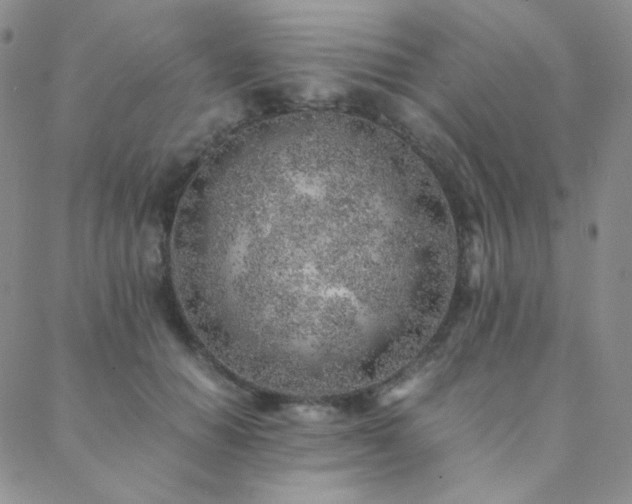X0000088440654200705221314