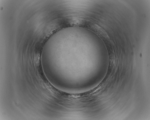 X0000088440660200705221314