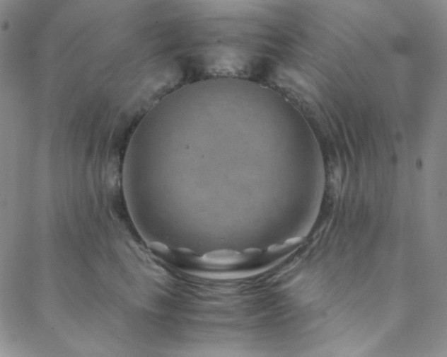 X0000088440665200705221314