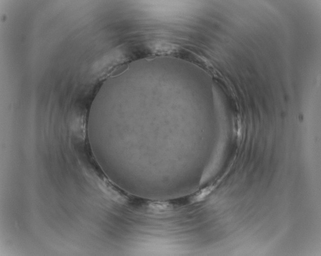 X0000088440666200705221314