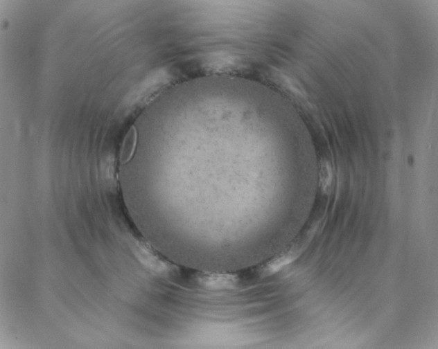 X0000088440670200705221314