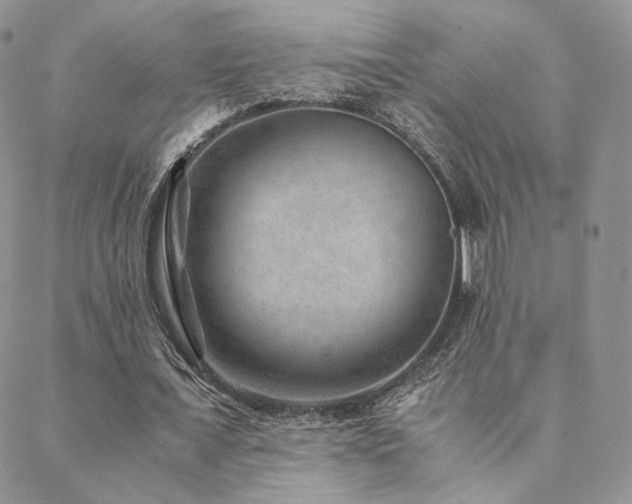 X0000088440675200705221313