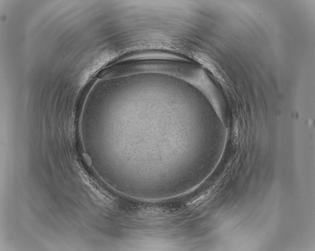 X0000088440677200705221313