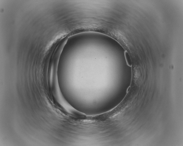 X0000088440684200705221313