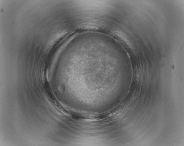 X0000088440692200705221313