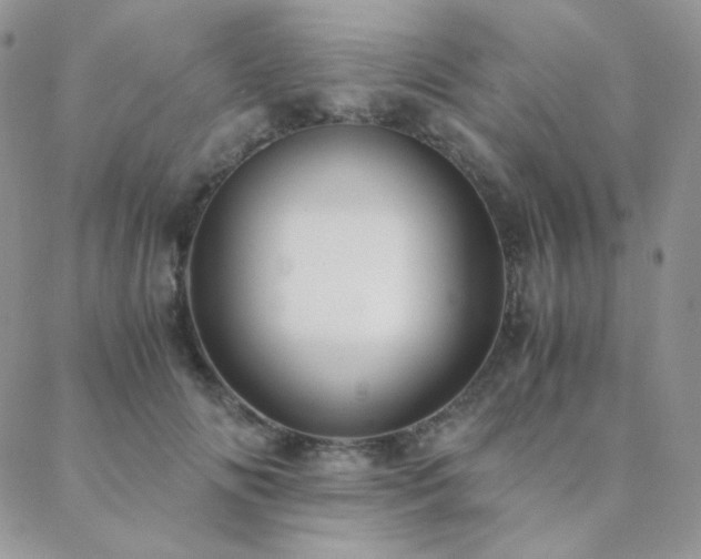 X0000088440702200705221313