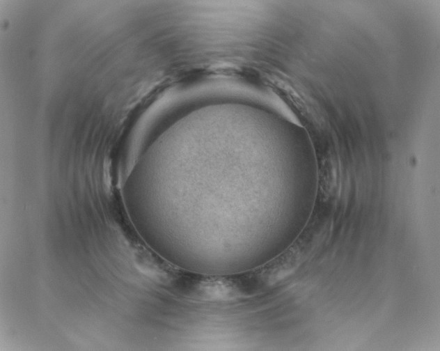 X0000088440704200705221313