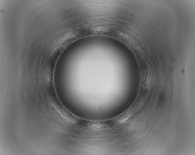 X0000088440710200705221312