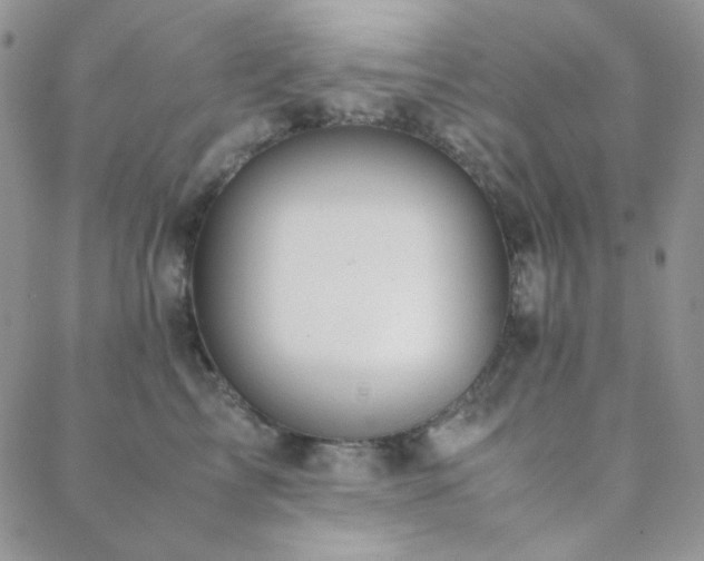 X0000088440713200705221312