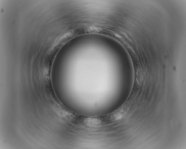 X0000088440714200705221312