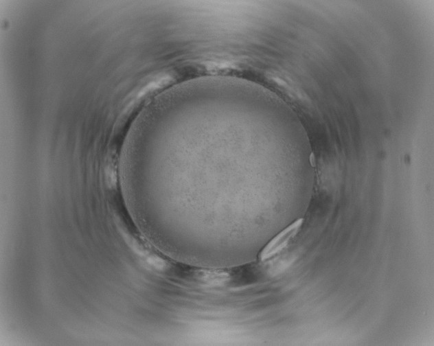 X0000088440719200705221312