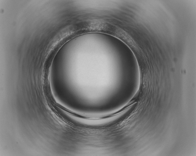 X0000088440722200705221311