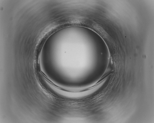X0000088440728200705221312