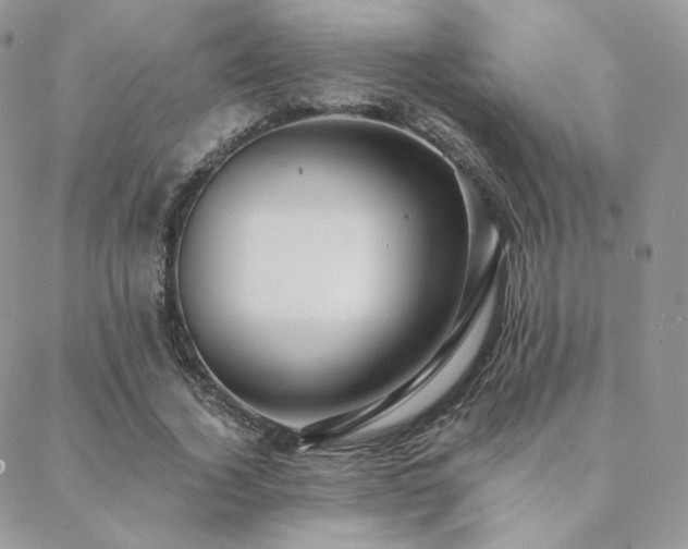 X0000088440732200705221312