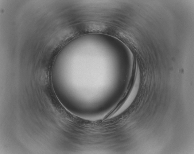 X0000088440743200705221312