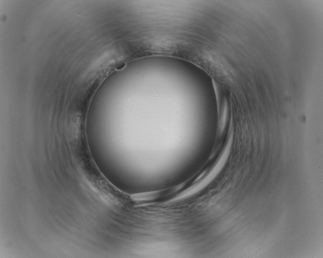 X0000088440744200705221312