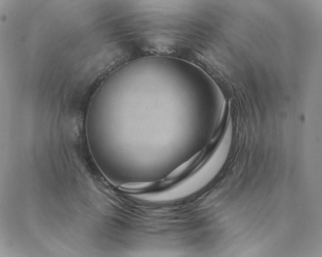 X0000088440747200705221312