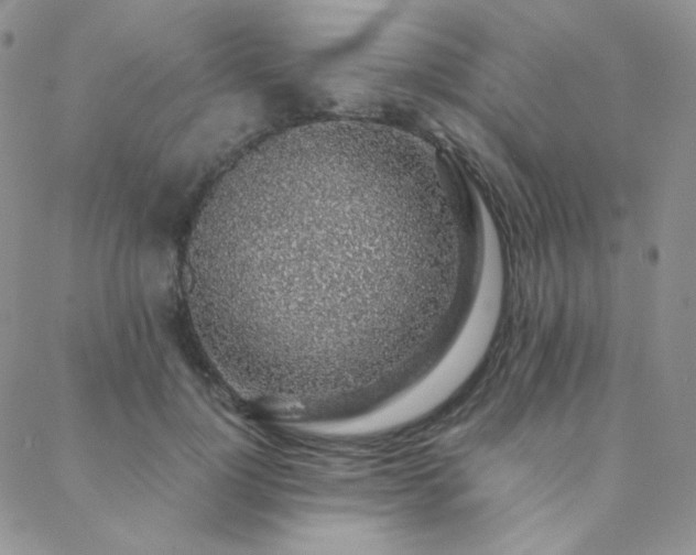 X0000088440748200705221312