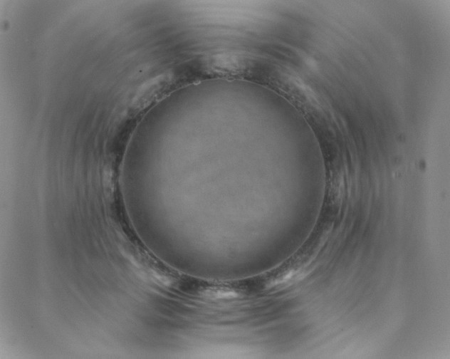 X0000088440749200705221312
