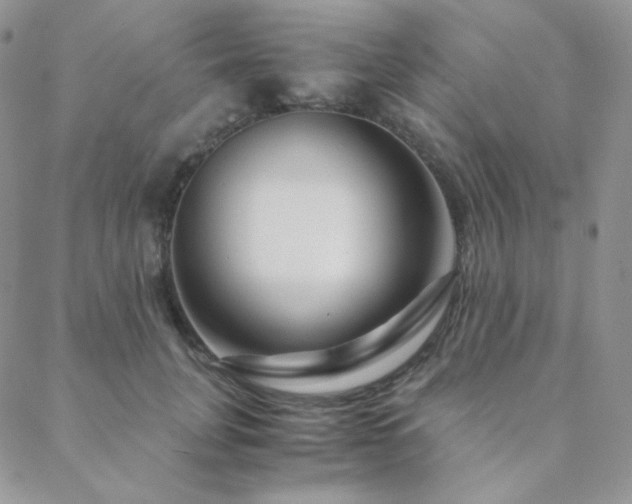 X0000088440751200705221312