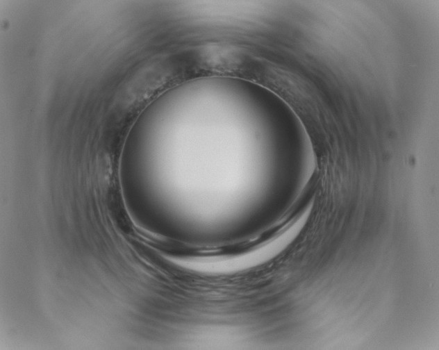X0000088440752200705221312