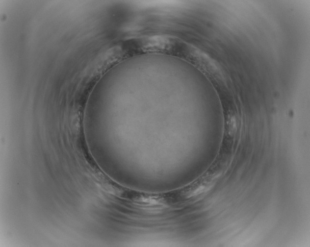 X0000088440753200705221312