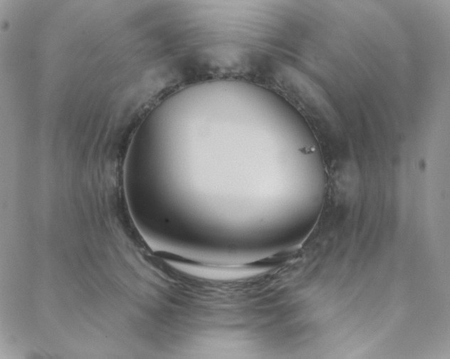X0000088440756200705221312